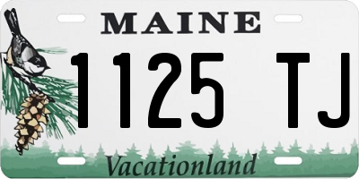ME license plate 1125TJ