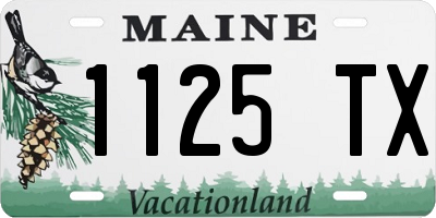ME license plate 1125TX
