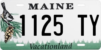 ME license plate 1125TY