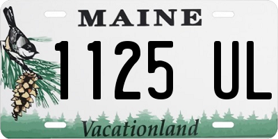 ME license plate 1125UL