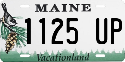 ME license plate 1125UP
