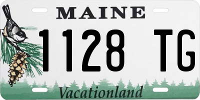 ME license plate 1128TG