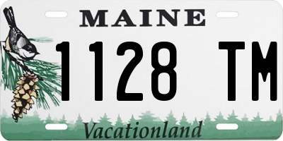 ME license plate 1128TM