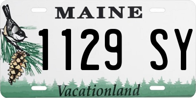 ME license plate 1129SY