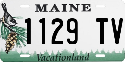 ME license plate 1129TV