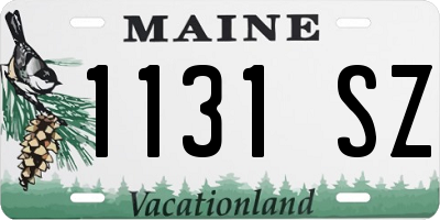 ME license plate 1131SZ