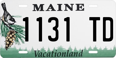 ME license plate 1131TD