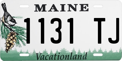 ME license plate 1131TJ