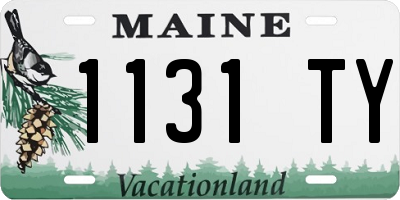 ME license plate 1131TY