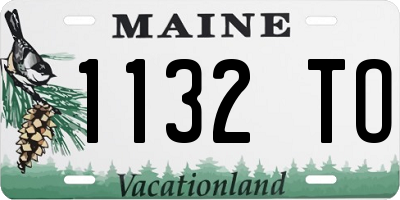 ME license plate 1132TO