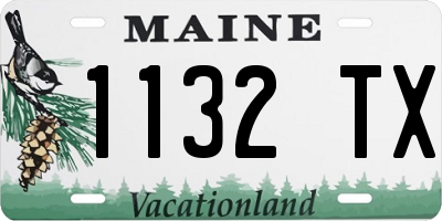 ME license plate 1132TX