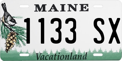 ME license plate 1133SX