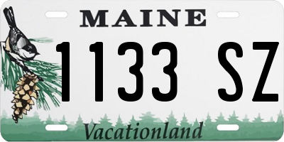 ME license plate 1133SZ