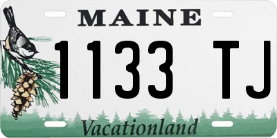 ME license plate 1133TJ