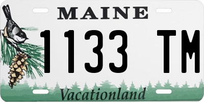 ME license plate 1133TM