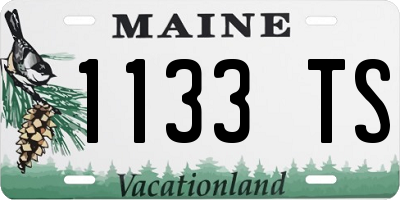ME license plate 1133TS