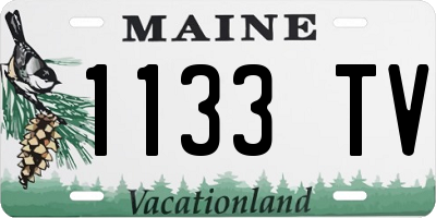 ME license plate 1133TV