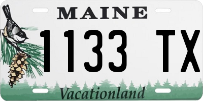 ME license plate 1133TX