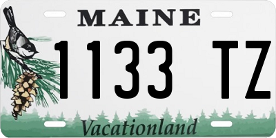 ME license plate 1133TZ