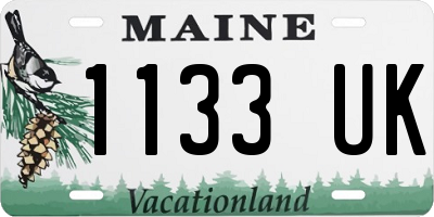 ME license plate 1133UK
