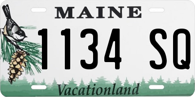 ME license plate 1134SQ
