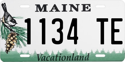 ME license plate 1134TE