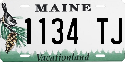 ME license plate 1134TJ