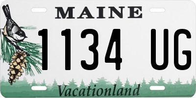 ME license plate 1134UG