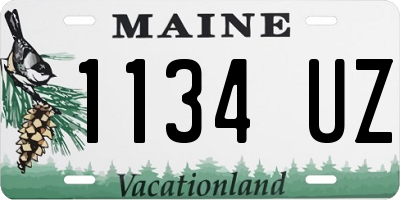 ME license plate 1134UZ
