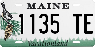 ME license plate 1135TE