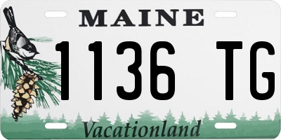 ME license plate 1136TG