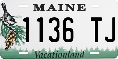 ME license plate 1136TJ