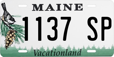 ME license plate 1137SP