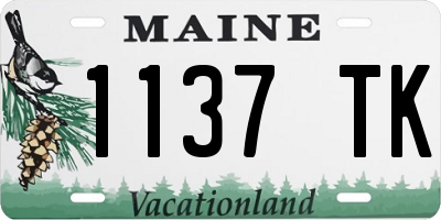 ME license plate 1137TK