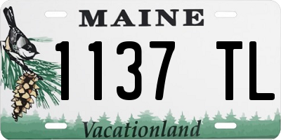 ME license plate 1137TL