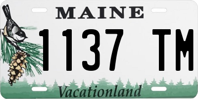 ME license plate 1137TM