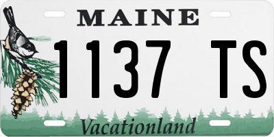 ME license plate 1137TS
