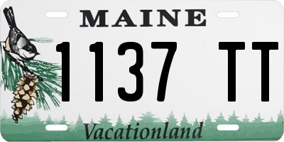 ME license plate 1137TT