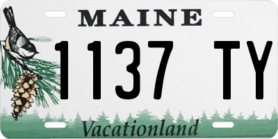 ME license plate 1137TY