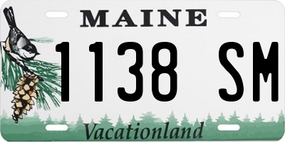 ME license plate 1138SM