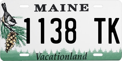 ME license plate 1138TK