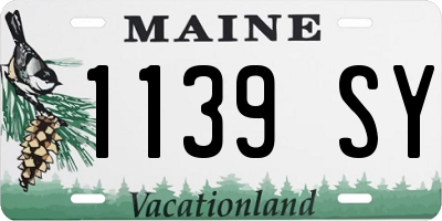 ME license plate 1139SY