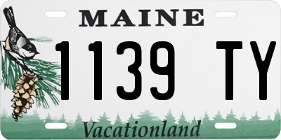 ME license plate 1139TY