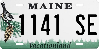 ME license plate 1141SE