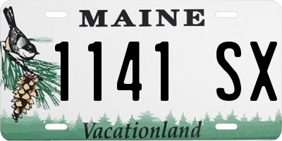 ME license plate 1141SX