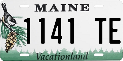 ME license plate 1141TE