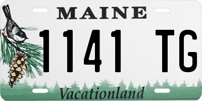 ME license plate 1141TG