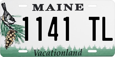 ME license plate 1141TL