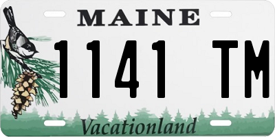 ME license plate 1141TM