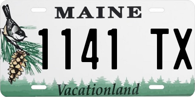 ME license plate 1141TX